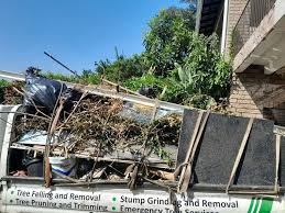 Best Demolition Debris Removal  in Roanoke, IN
